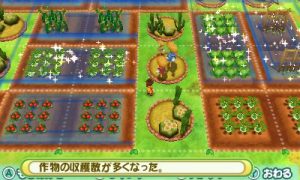 Story of Seasons: Precious Friends of Three Villages - Power Circle