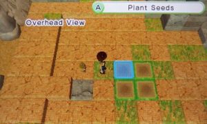Overhead View Mode | Harvest Moon Skytree Village