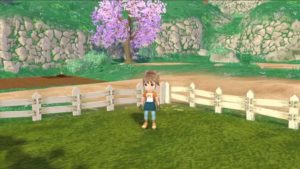 STORY OF SEASONS: A Wonderful Life ประกาศลงเครื่อง Nintendo Switch ฤดูร้อนปี 2023! 6