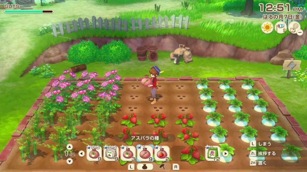 ฟาร์มฤดูใบไม้ผลิของเกม STORY OF SEASONS: GRand Bazaar